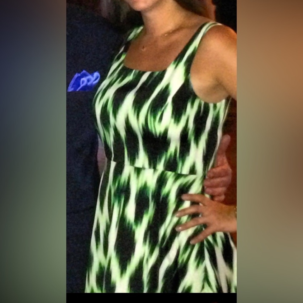 Kensie Green & Black Dress